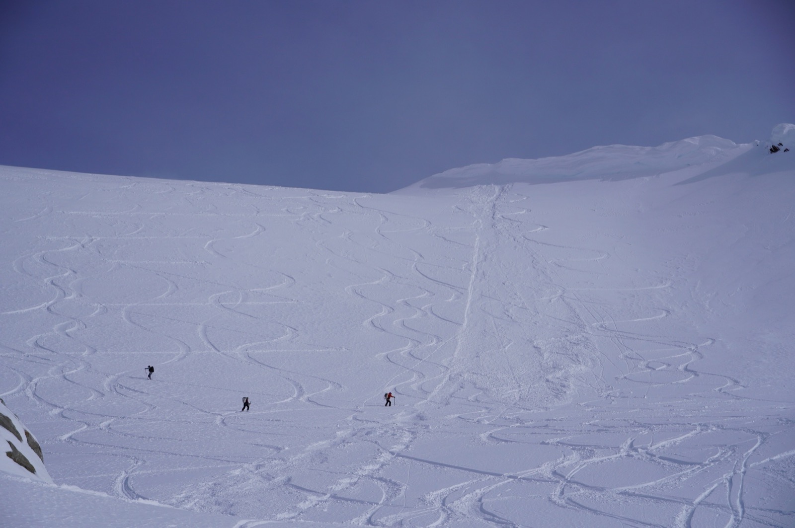 asulkan_rogers_pass - 16.jpg